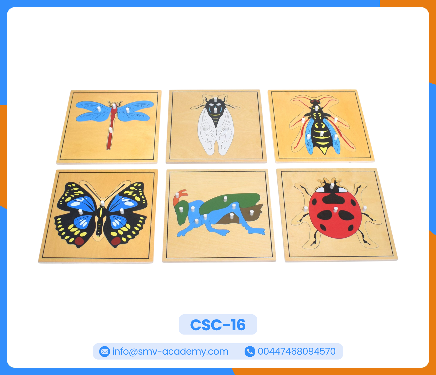 بازل أجزاء الدعسوقة - Parts of a Ladybug Puzzle